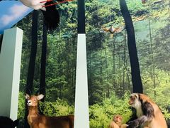 -房山世界地质公园博物馆