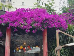 -院8里·少城记忆老川菜(宽窄巷子店)