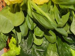 -京悦南门涮羊肉·羊蝎子火锅(田林路店)