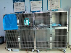 -乐宠动物医院