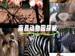 -南昌动物园