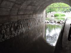 -白水寺森林公园