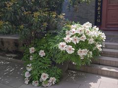 -罔极寺