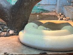 -石家庄市动物园