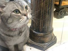 -小时光咖啡馆(开森度假森林店)