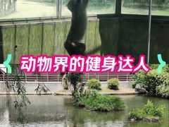 -水绘园