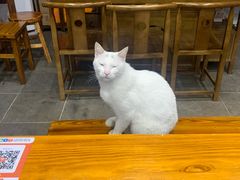 -姑苏秦隆昌(木渎古镇店)