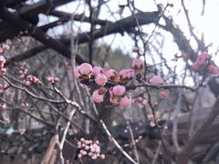-南窖乡水峪村山情农家