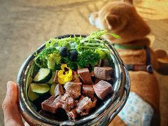 -百好乐宠物友好餐厅(朝外大街店)
