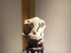 -觀芷隐轩