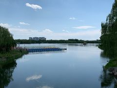 -大兴滨河森林公园