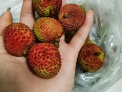 -PAGODA百果园(深圳天琴阁店)