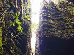 -梭布垭石林景区