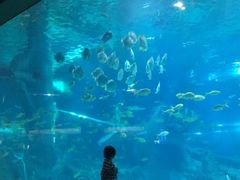 景点-福州罗源湾海洋世界旅游区