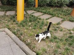 -沙河三洞古桥公园