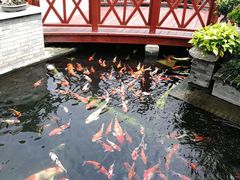 -顺德了能馆(虎门店)