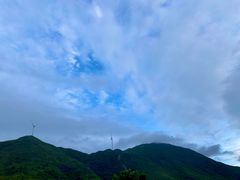 -盐洲岛