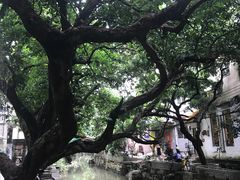 -小洲村