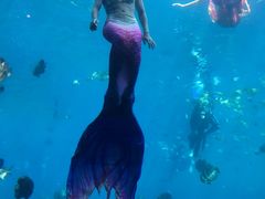 -瑞德姆美人鱼海底演艺主题餐厅(亚龙湾店)
