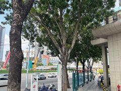 -芳村(地铁站)