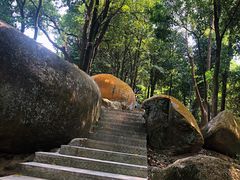 -火炉山森林公园