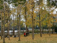 -蜀水别园(青杠树店)