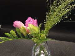 -gaga(深圳南山益田假日广场店)