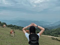 -大姆山草场
