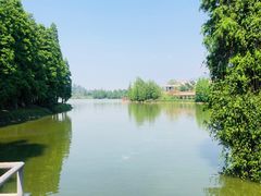 -星湖旅游景区七星岩