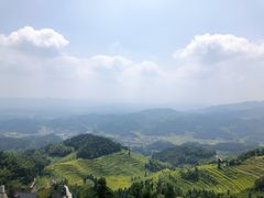 -紫鹊界梯田景区