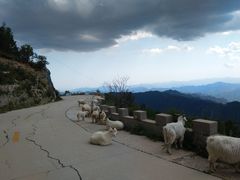 -白草畔自然风景区