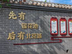 -莲花池公园