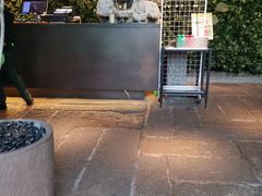 -外婆家(杭州马塍店·杭帮菜名店)