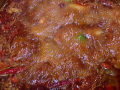 -蜀九香火锅(玉林店)