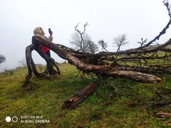 -硗碛藏寨·神木垒景区