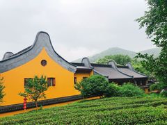 -杭州西湖风景名胜区-三生石
