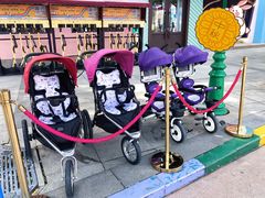 -沈阳方特欢乐世界