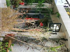 -春树下·树屋花房西餐厅(罍街AS1980店)