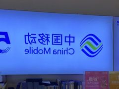 -苏宁易购(Suning Pro南京山西路店)