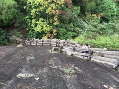 -武夷山风景名胜区-虎啸岩