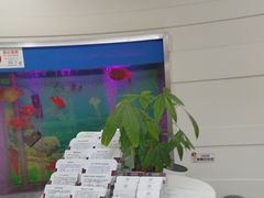 -雅悦齿科(顾村公园店)
