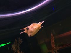-常州海昌海洋探索馆