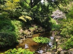 -上海醉白池公园