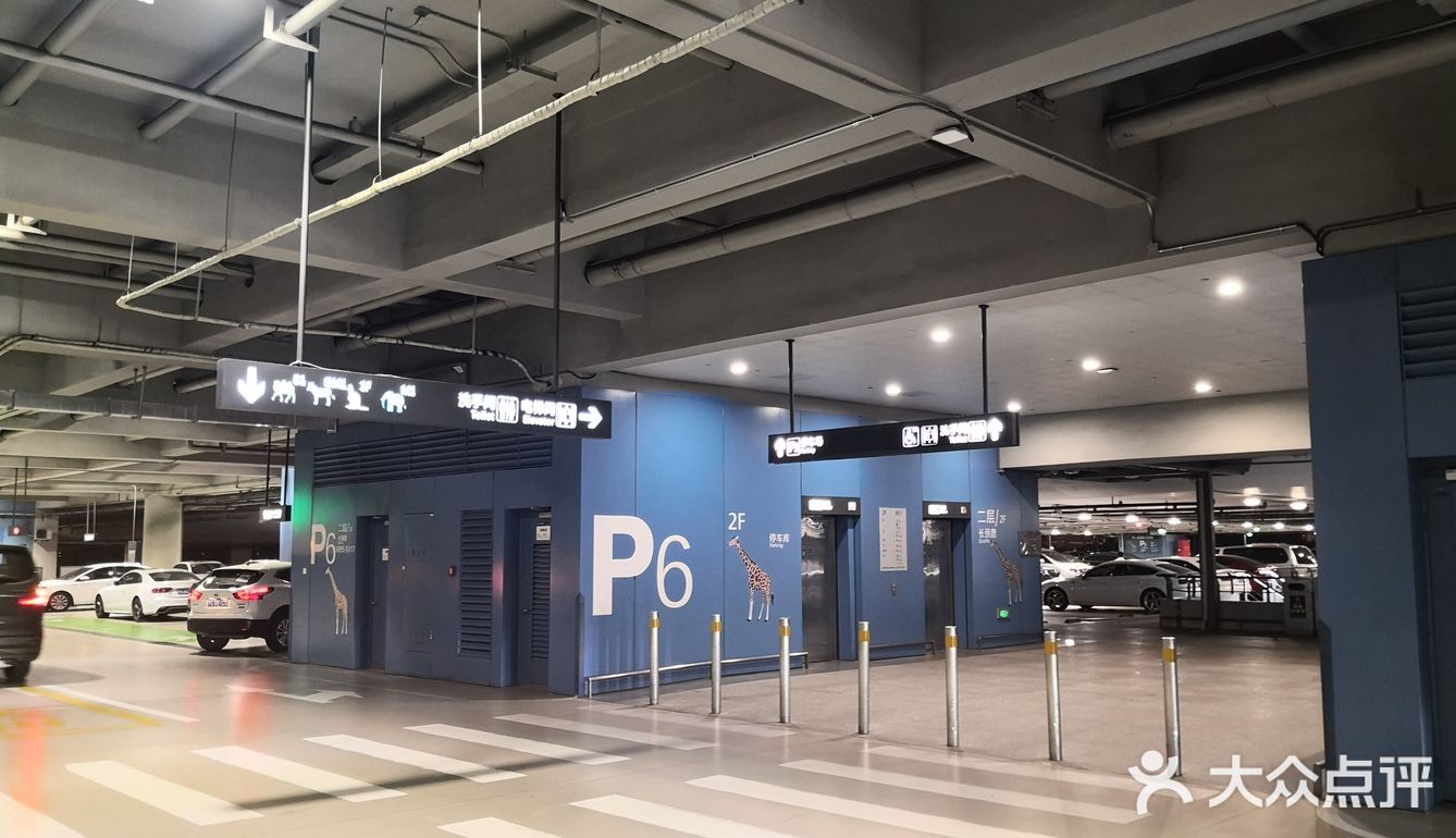 虹桥停车场,超一流停车场,壮观.