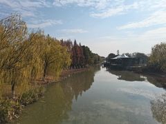 -江滩湿地公园
