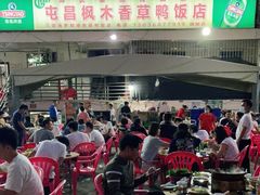 -霞姐屯昌枫木香草鸭店(海螺店)