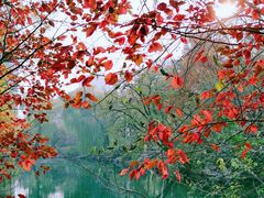 -北京动物园-畅观楼