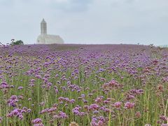 -紫颐香薰山谷景区