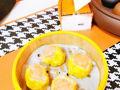 虾仁烧卖-点多多•广式茶点(龙华店)