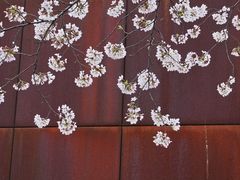 -龙美术馆(西岸馆)
